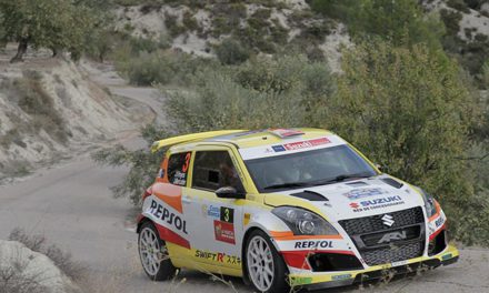 Rallye Comunidad de Madrid, a celebrar el título de marcas